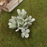 Artificial Succulent (Type 13)